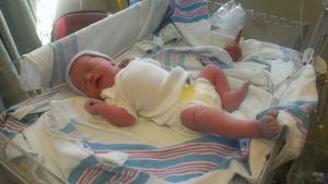 Moments after landing on Planet Earth.