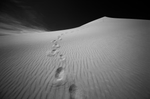 Photo by Ian Norman @ Flickr.