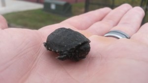 OH MY GOD IT'S SO ADORABLE.